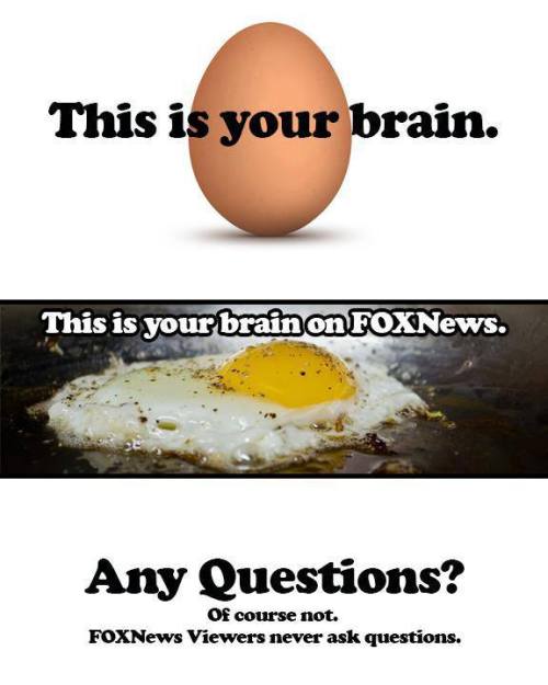 Brain of FOX NEWS