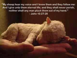 Jesus and a baby sheep